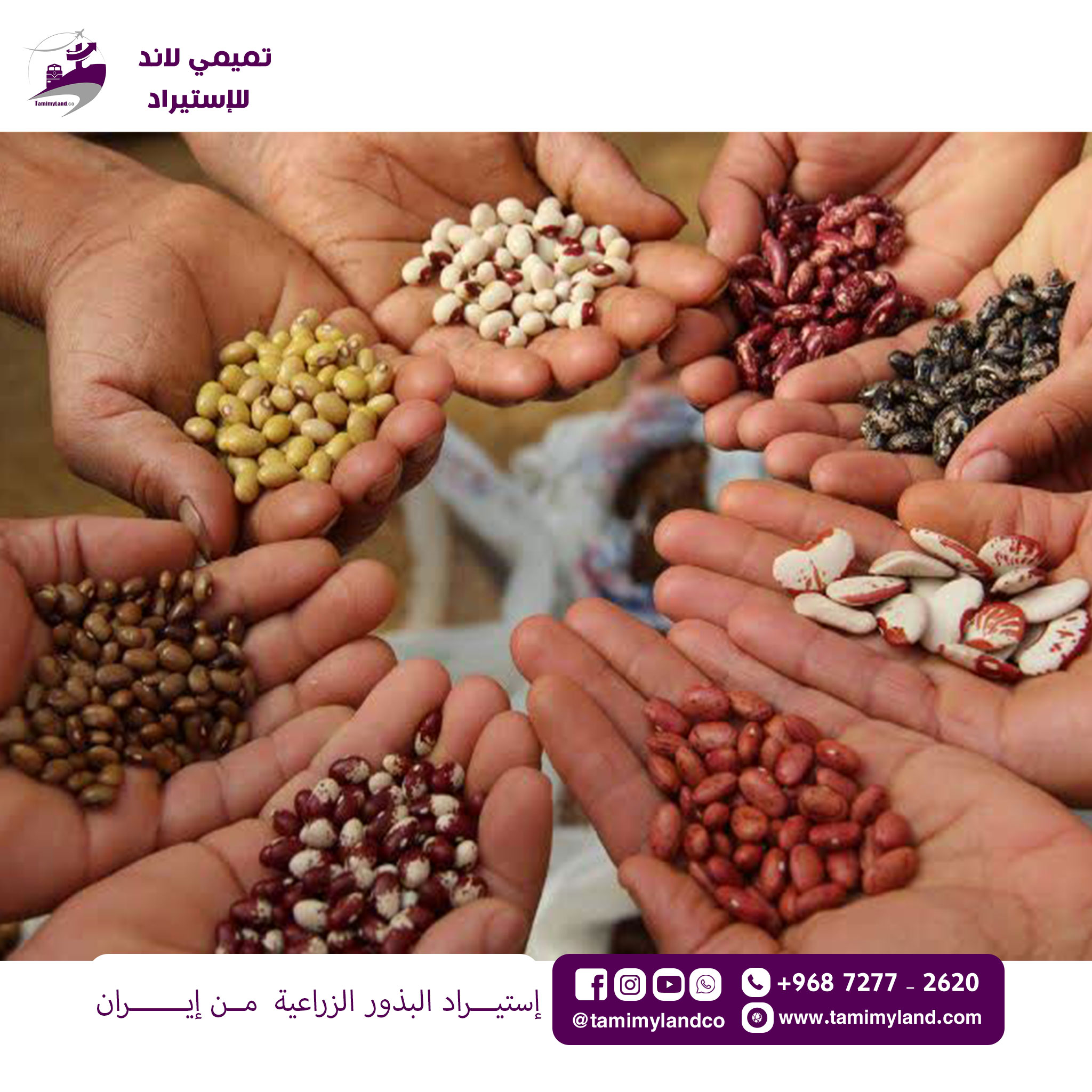 استيراد--البذور-الزراعية-من-ايران