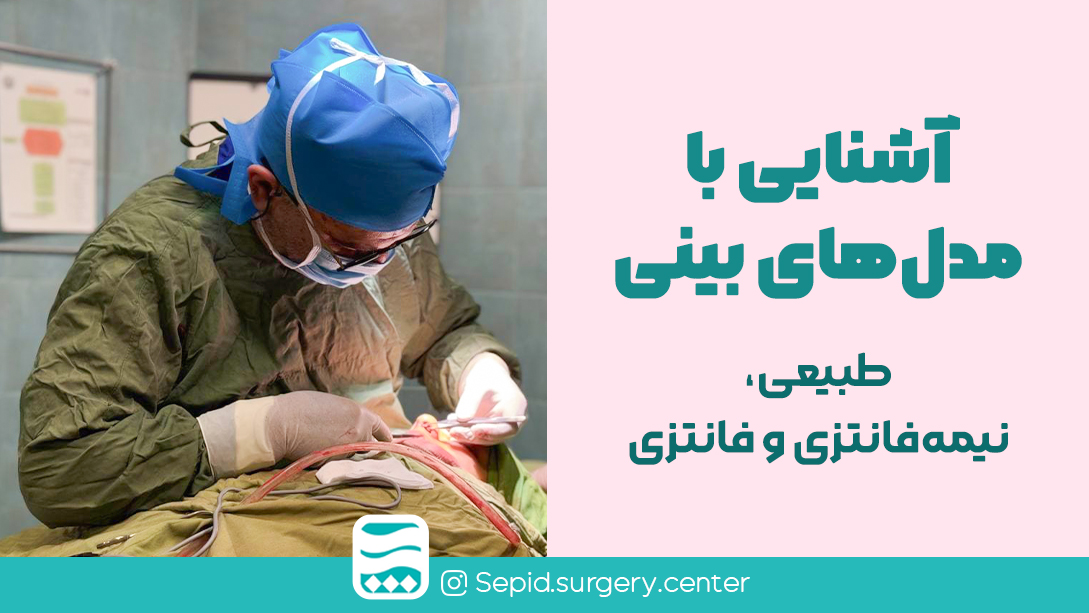 آشناییبامدل‌هایبینیطبیعی،نیمه‌فانتزیوفانتزی
