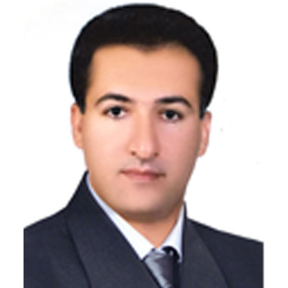 دکتر سید مجتبی
                                  حسینی