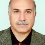 علیرضا جاویدان